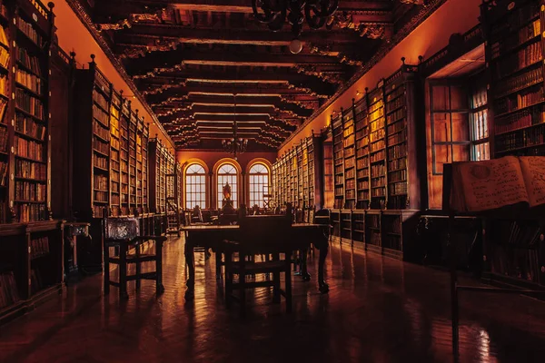 Biblioteca Com Livros Prateleiras — Fotografia de Stock