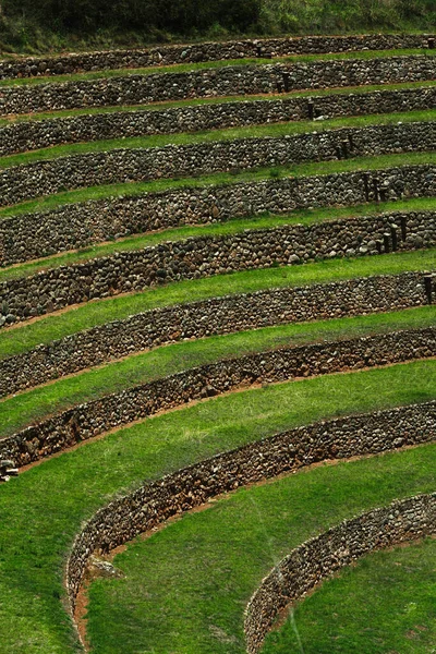 Champ Vert Dans Parc Moray Archaeological Center Cusco Pérou — Photo