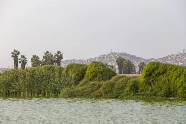 stock image view of the city of barcelona