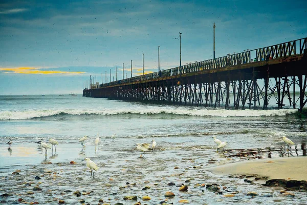 stock image pier at sunset on the coast of the sea Trujillo, Peru