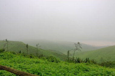 Lachay Lomas, Peru 'nun en önemli doğal rezervlerinden biridir. Burada bitki örtüsü, fauna ve arkeolojinin çeşitliliğini anlayabilirsiniz..