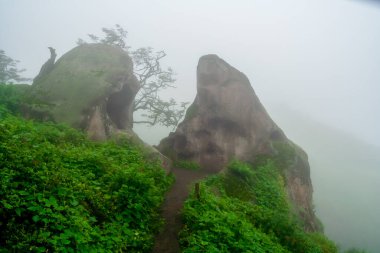 Lachay Lomas, Peru 'nun en önemli doğal rezervlerinden biridir. Burada bitki örtüsü, fauna ve arkeolojinin çeşitliliğini anlayabilirsiniz..