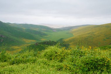 Lachay Lomas, Peru 'nun en önemli doğal rezervlerinden biridir. Burada bitki örtüsü, fauna ve arkeolojinin çeşitliliğini anlayabilirsiniz..