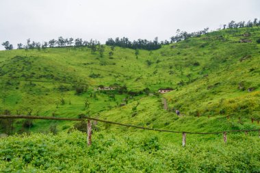 Lachay Lomas, Peru 'nun en önemli doğal rezervlerinden biridir. Burada bitki örtüsü, fauna ve arkeolojinin çeşitliliğini anlayabilirsiniz..