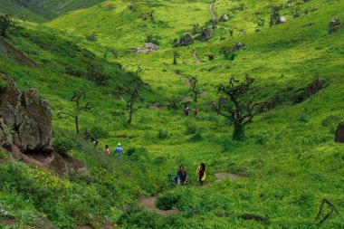 Lachay Lomas, Peru 'nun en önemli doğal rezervlerinden biridir. Burada bitki örtüsü, fauna ve arkeolojinin çeşitliliğini anlayabilirsiniz..