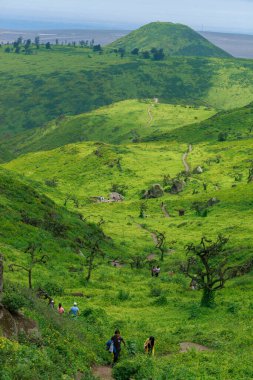 Lachay Lomas, Peru 'nun en önemli doğal rezervlerinden biridir. Burada bitki örtüsü, fauna ve arkeolojinin çeşitliliğini anlayabilirsiniz..