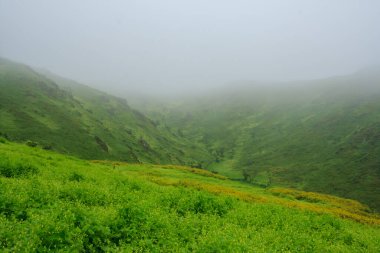 Lachay Lomas, Peru 'nun en önemli doğal rezervlerinden biridir. Burada bitki örtüsü, fauna ve arkeolojinin çeşitliliğini anlayabilirsiniz..