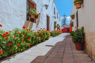 Santa Catalina Manastırı. Arequipa Peru