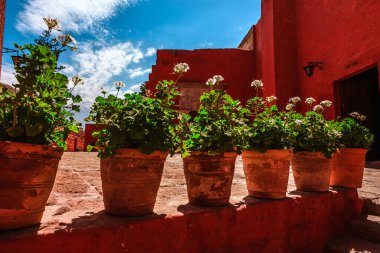 Santa Catalina Manastırı. Arequipa Peru