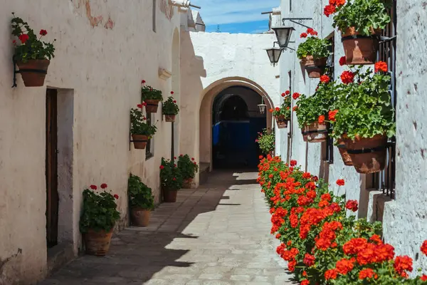 Santa Catalina Manastırı. Arequipa Peru