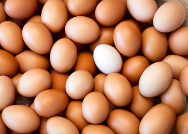 bir tepsi içinde yumurta