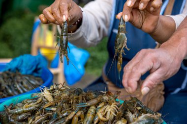 Elinde taze karidesli mavi bir kâse tutan bir kadına yaklaş..