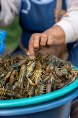 Elinde taze karidesli mavi bir kâse tutan bir kadına yaklaş..