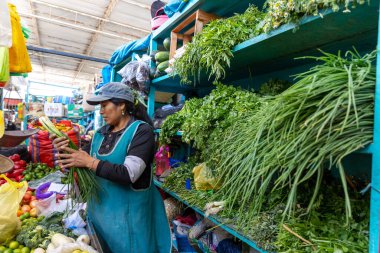 woman shopping at the local market clipart