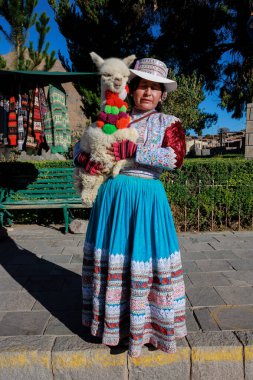 Turistler Colca Vadisi 'ndeki Akbaba' nın bakış açısını ziyaret ediyorlar. Maca meydanında el işi ve alpaka satıyorum. Arequipa Peru