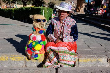 Turistler Colca Vadisi 'ndeki Akbaba' nın bakış açısını ziyaret ediyorlar. Maca meydanında el işi ve alpaka satıyorum. Arequipa Peru