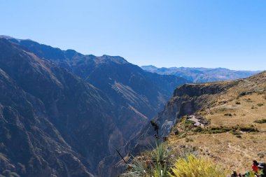 Colca Vadisi 'nde uçan Akbaba. Turistler Arequipa Peru 'daki Akbaba bakış açısını ziyaret ediyorlar.
