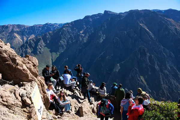 Turistler Colca Vadisi 'ndeki Akbaba' nın bakış açısını ziyaret ediyorlar. Arequipa Peru