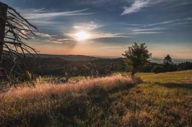 Orlicke dağlarının manzarası (czech: Orlicke hory), Olesnice v Orlickych Horch köyü yakınlarında..