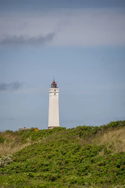 Leuchtturm Blvandshuk Fyr Nordseebad Blvand Blvand Süddänemark Dänemark — Stockfoto