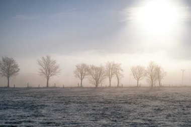 Beautiful Winter sunrise landscape image at dawn with hoarfrost on the plants and trees with golden hour sunrise light clipart