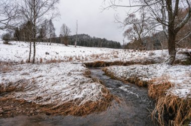 Karlı ormandaki nehir vadisi. Kış. Kamerayla çekilen doğanın güzelliği.