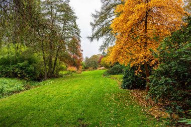 Pruhonice Park, Prag 'ın dışında güzel bir sonbahar gününde büyük bir halk parkı ve botanik bahçesi.