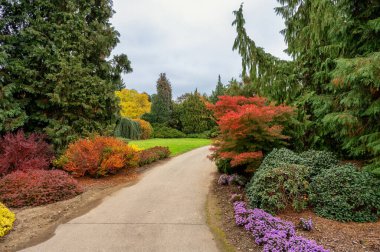 Pruhonice Park, Prag 'ın dışında güneşli bir sonbahar gününde büyük bir park ve botanik bahçesi.