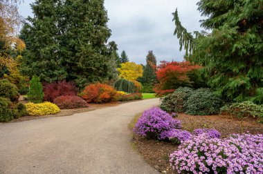 Pruhonice Park, Prag 'ın dışında güneşli bir sonbahar gününde büyük bir park ve botanik bahçesi.