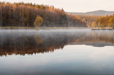 Pond near Poniatow Rudawa, Orlicke mountains, Okres Kladzko, Poland