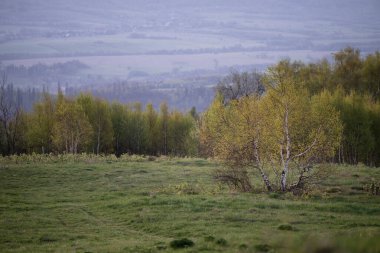 Dağlar kırsal alan. Bahar erken geldi. Güzel gün doğumu.