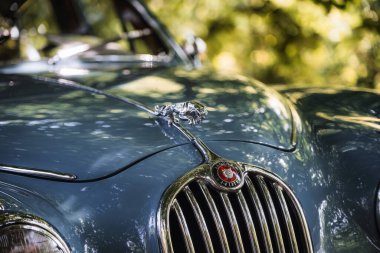 Kvasiny, Çek Cumhuriyeti - 9 Temmuz 2024: Klasik arabaların halka açık sergisi. - Evet. Klasik Avrupa ve Amerikan araba koleksiyonu.