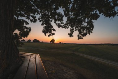 Güneş batarken. Geniş görüş açısı... Mavi gökyüzü, bulutlar, bir tarla ve yalnız bir ağaç..
