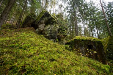 Terk edilmiş sığınak (Ropik N2-45-E) ormanın derinliklerinde kayaların arasında gizlidir. Çekoslovak kalesi. Çek Cumhuriyeti yakınlarında - Almanya sınırı.
