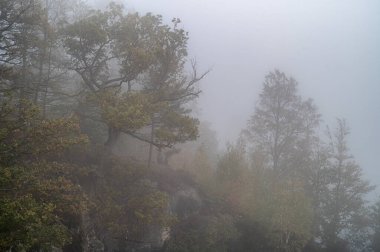 Siste kayalık iğneler, Bastei kaya oluşumu, sonbahar, Sakson İsviçre, Saksonya, Almanya, Avrupa