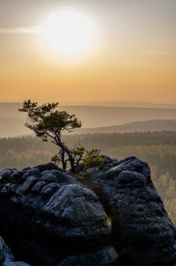 view from gohrisch in the saxon switzerland during autumn sunrise, germany clipart