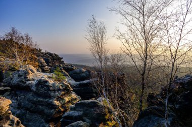 Saxon İsviçre 'deki Gohrisch' in sonbahar gündoğumu sırasında görüntüsü, Almanya