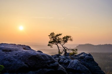 Gohrisch Dağı 'nda sonbahar günbatımı, Sakson İsviçre, Almanya