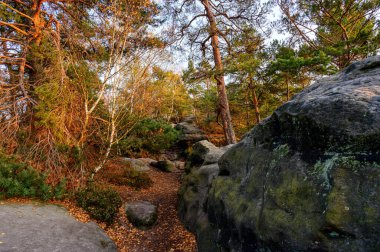 Gohrisch Dağı 'nda sonbahar günbatımı, Sakson İsviçre, Almanya