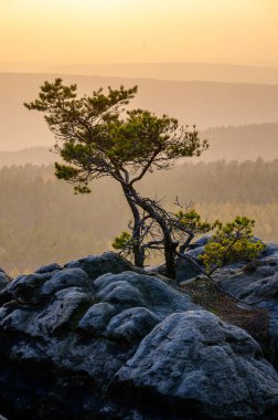 Gohrisch Dağı 'nda sonbahar günbatımı, Sakson İsviçre, Almanya