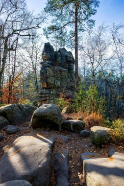 Yürüyüş yolu, Sandstone 'daki antik orman Schrammstein grubunu ulusal park Sakson İsviçre, Bad Schandau, Saksonya, Almanya' da kayalar.