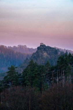 view of a misty valley with a lone trees at blue hour clipart