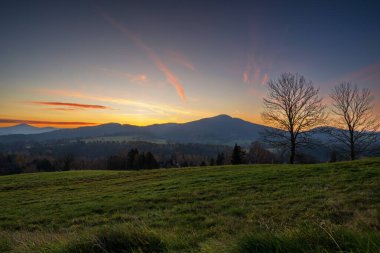 Mavi saatte yalnız ağaçlarla kaplı sisli bir vadi manzarası