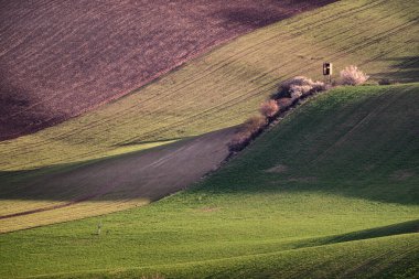 Moravian Tuscany is a popular name for the area near Kyjov in the South Moravian Region, which with its terrain waves resembles the landscape of Italian Tuscany clipart