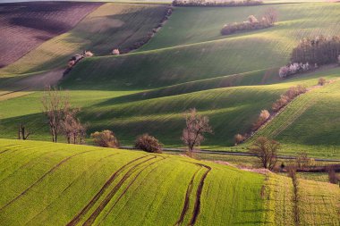 Moravian Tuscany, Güney Moravya Bölgesi 'nin Kyjov yakınlarındaki İtalyan Toskana manzarasına benzeyen bölgenin popüler bir adıdır.