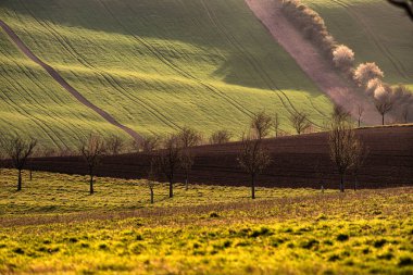 Moravian Tuscany, Güney Moravya Bölgesi 'nin Kyjov yakınlarındaki İtalyan Toskana manzarasına benzeyen bölgenin popüler bir adıdır.