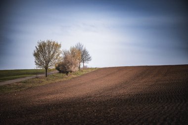 Landscape in Moravian Tuscany (Czechia). Spring time in South Moravia. clipart