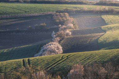 Moravian Tuscany  beautiful landscape in south Moravia near Kyjov town, Czech Republic clipart