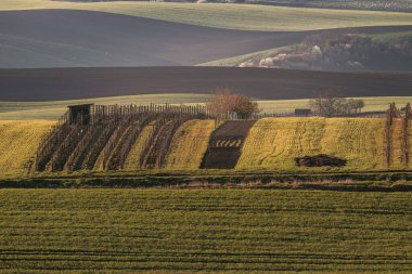 Moravian Tuscany  beautiful landscape in south Moravia near Kyjov town, Czech Republic clipart