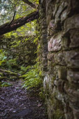 Çek Cumhuriyeti, Orlicke Dağları 'ndaki eski su değirmeni kalıntıları